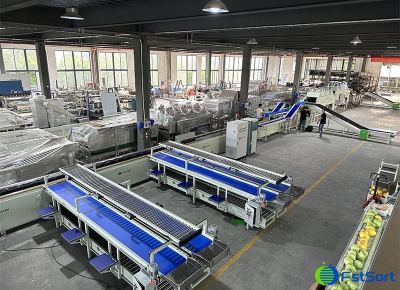 images/1673001984409Broccoli Grading machine.jpg